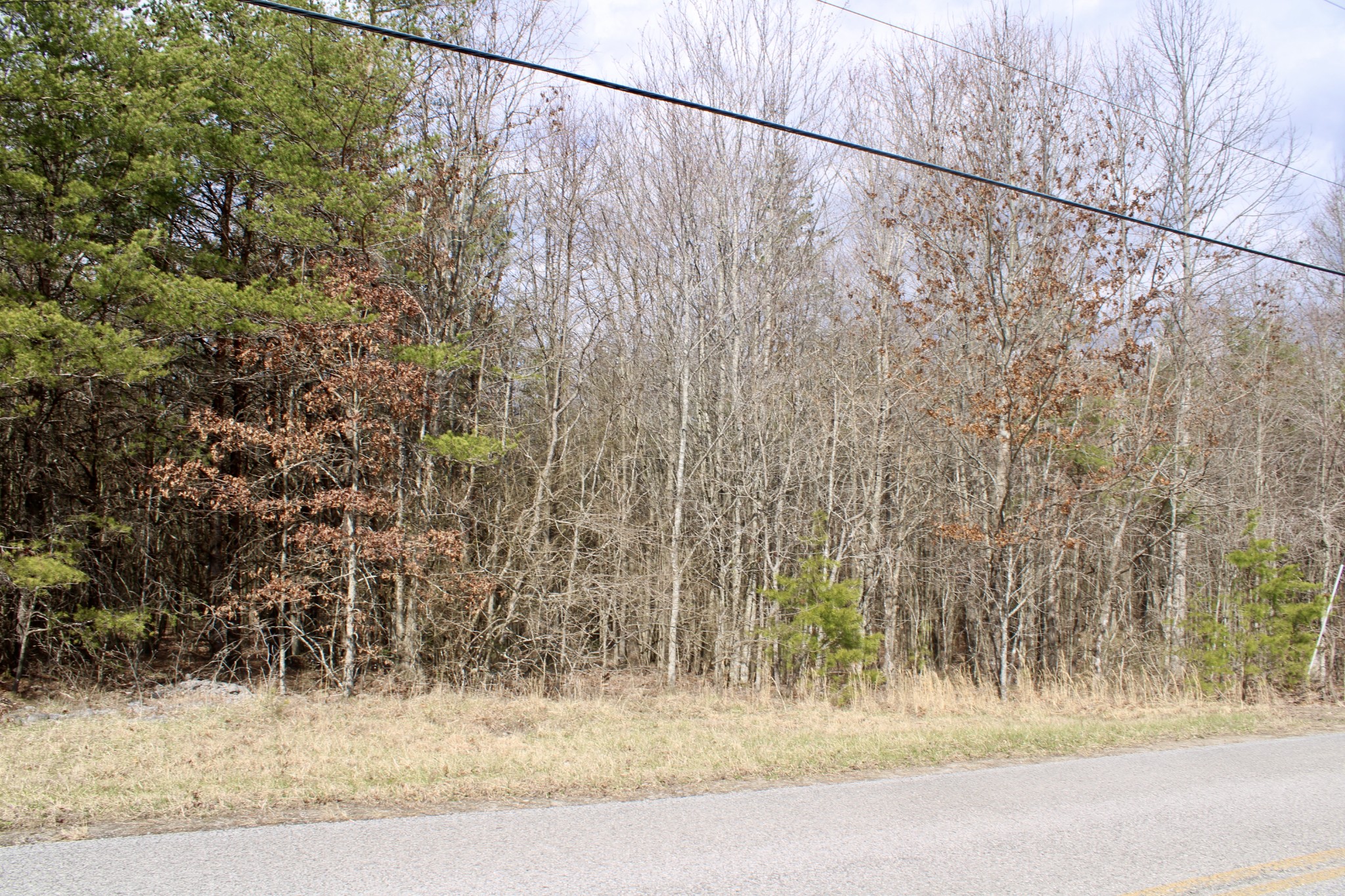 0 Denny Bend Road Spencer, TN 38585 - Photo 9 of 12