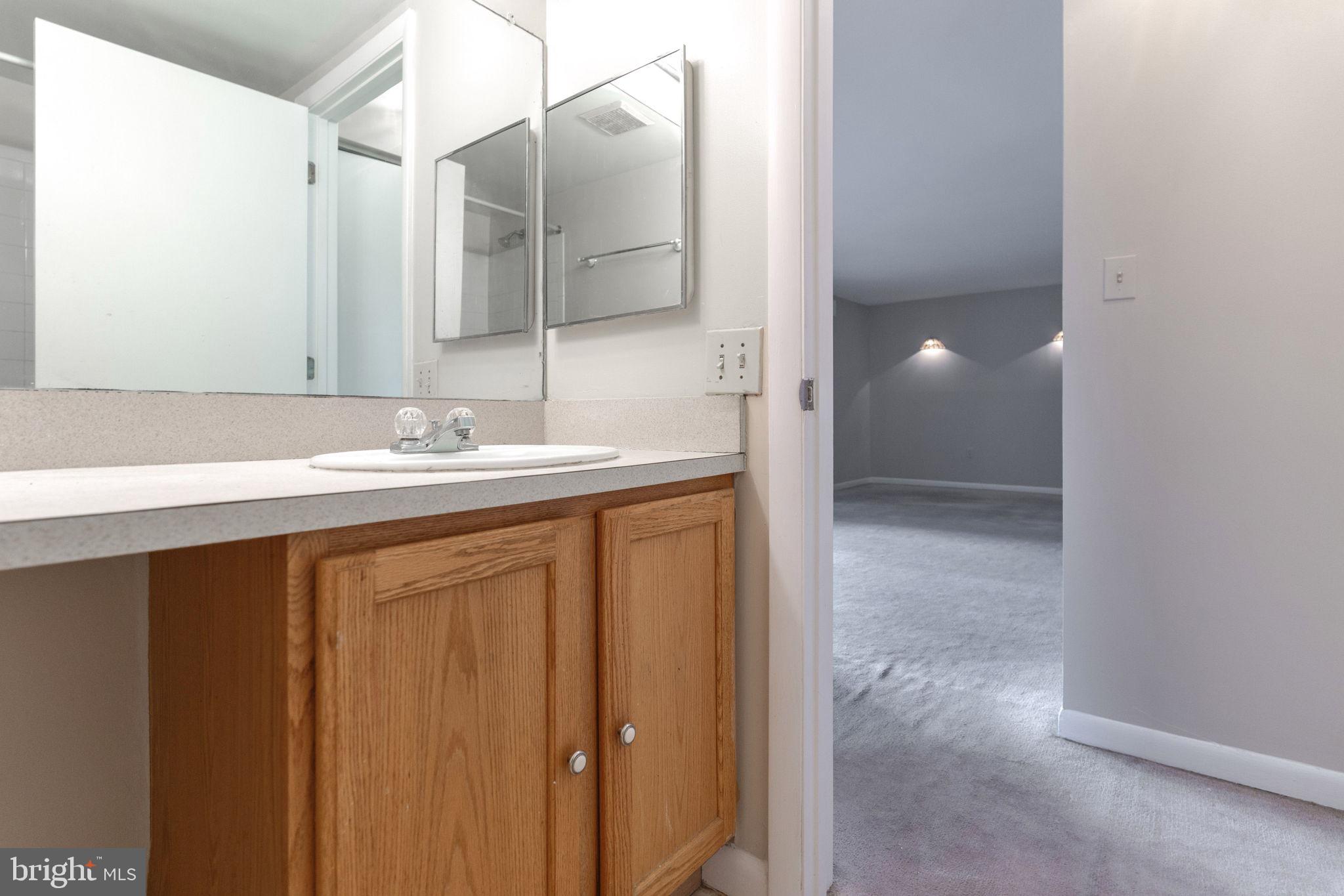 9653 White Acre Road, Unit B2 Columbia, MD 21045 - Photo 20 of 28 a bathroom with a sink a mirror and a shower