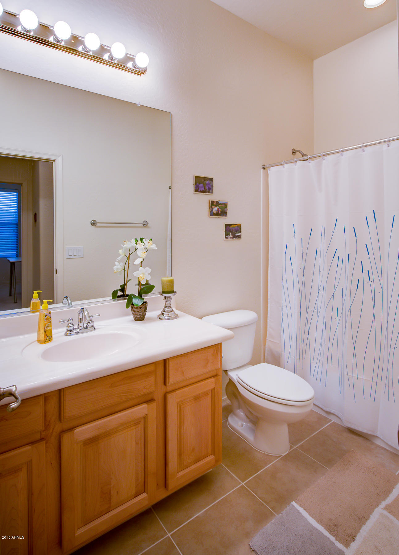 4605 West Piedmont Road Laveen, AZ 85339 - Photo 31 of 36 Hall bathroom