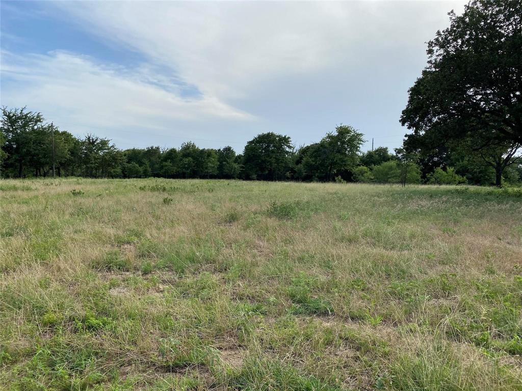 455 East Pilot Point Pilot Point, TX 76258 - Photo 12 of 21 a view of outdoor space and yard