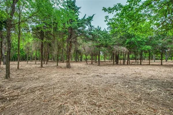 a view of outdoor space with trees