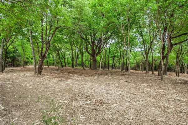 a view of backyard with green space