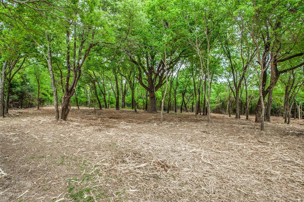 455 East Pilot Point Pilot Point, TX 76258 - Photo 16 of 21 a view of backyard with green space