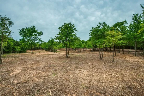 a view of outdoor space with trees