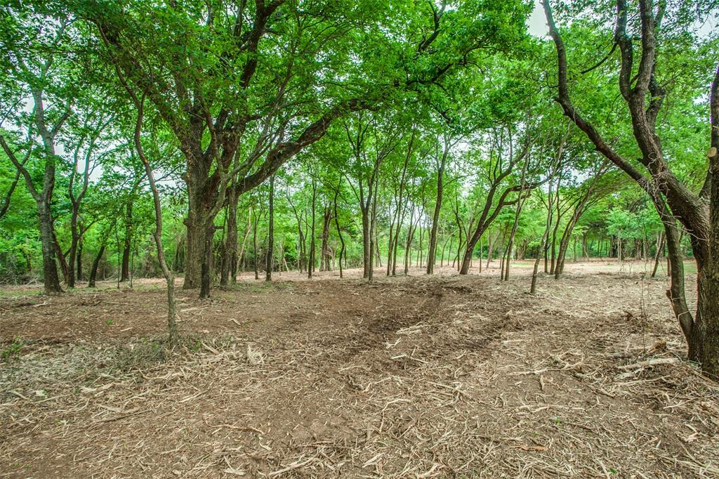 455 East Pilot Point Pilot Point, TX 76258 - Photo 2 of 21 a view of a forest with trees in the background