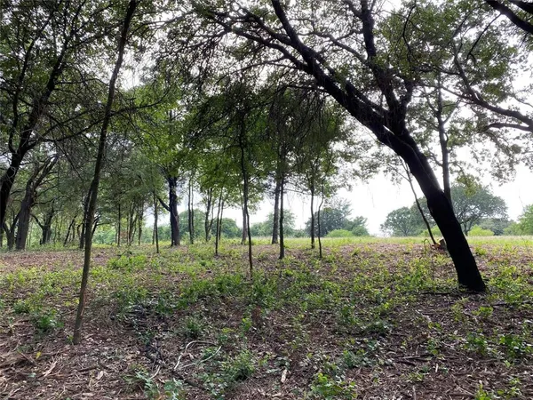 a view of outdoor space and trees