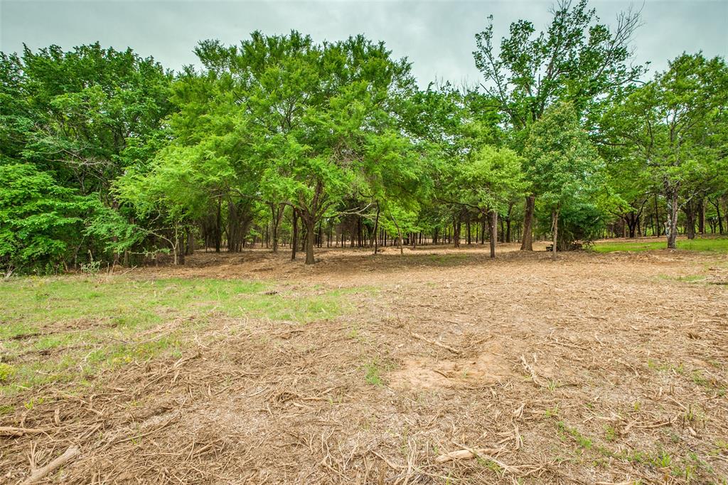 455 East Pilot Point Pilot Point, TX 76258 - Photo 7 of 21 a backyard of a house with lots of green space