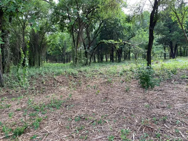 a view of outdoor space and tree