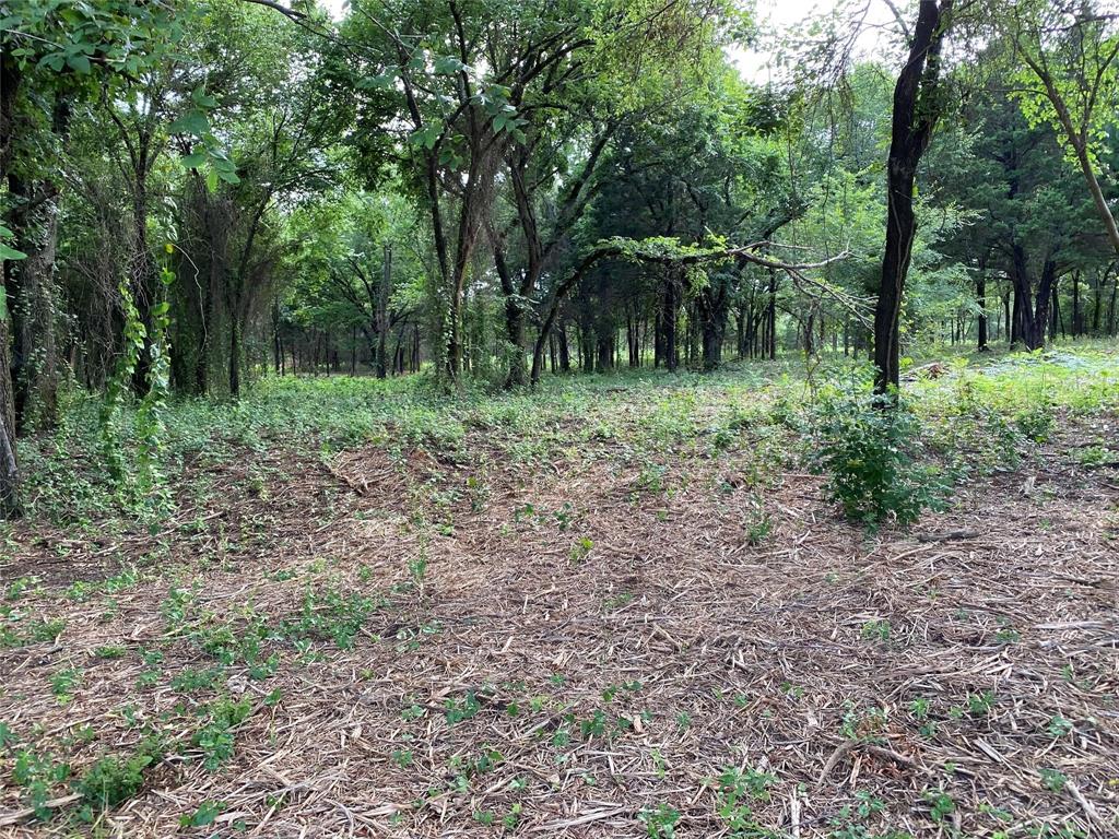 455 East Pilot Point Pilot Point, TX 76258 - Photo 8 of 21 a view of outdoor space and tree