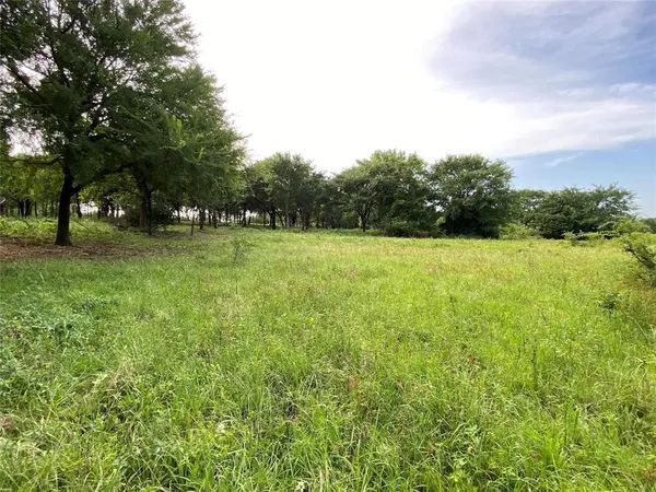 a view of field with trees in the background