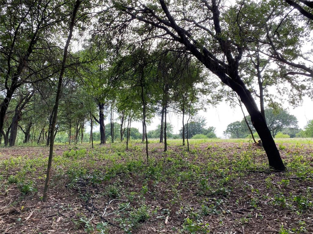 455 East Pilot Point Pilot Point, TX 76258 - Photo 10 of 21 a view of outdoor space and trees