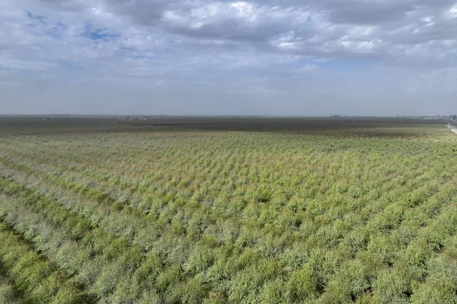 a view of beach and city view