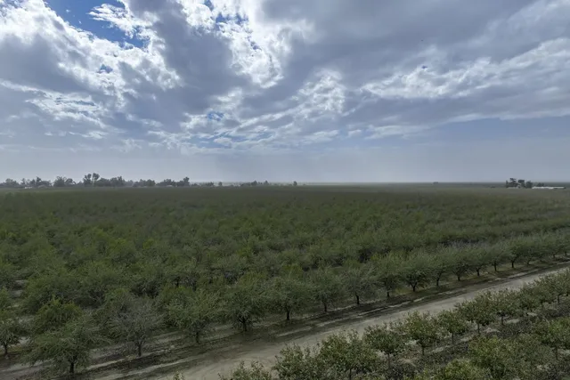 a view of city and mountain