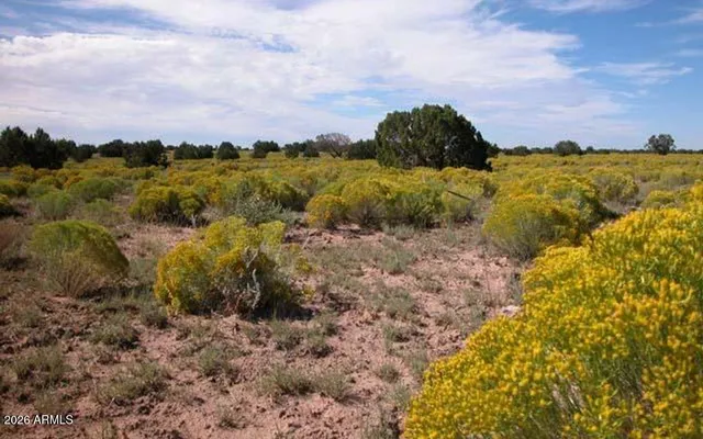 a view of a lake with a building in the background