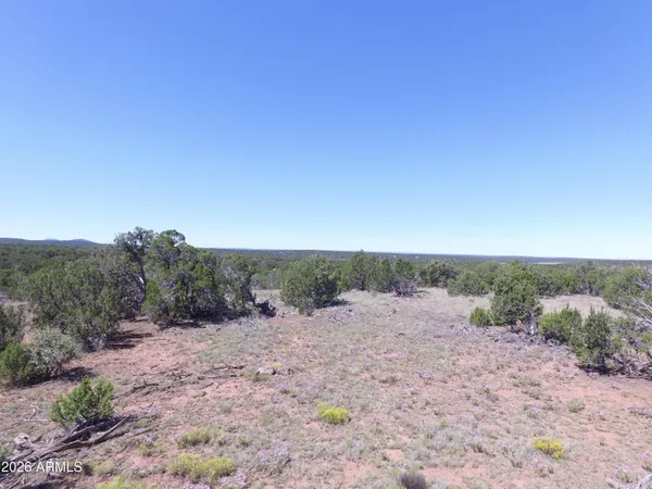 a view of a dry field with trees in the background