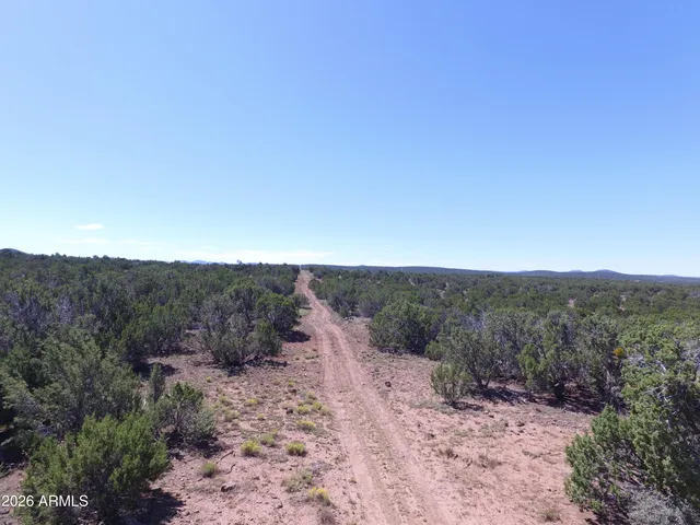 a view of a dry field with mountains in the background
