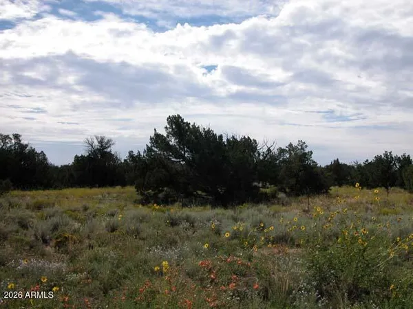 a view of outdoor space and trees