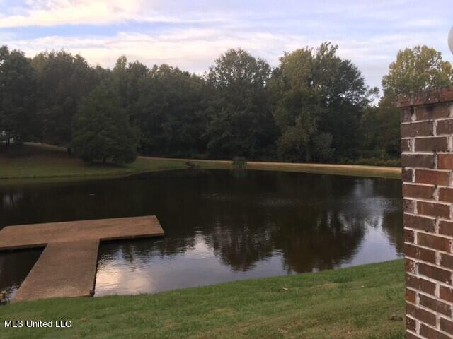 1460 Mcmaster Road Sarah, MS 38665 - Photo 14 of 40 Pond view