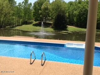 1460 Mcmaster Road Sarah, MS 38665 - Photo 38 of 40 59