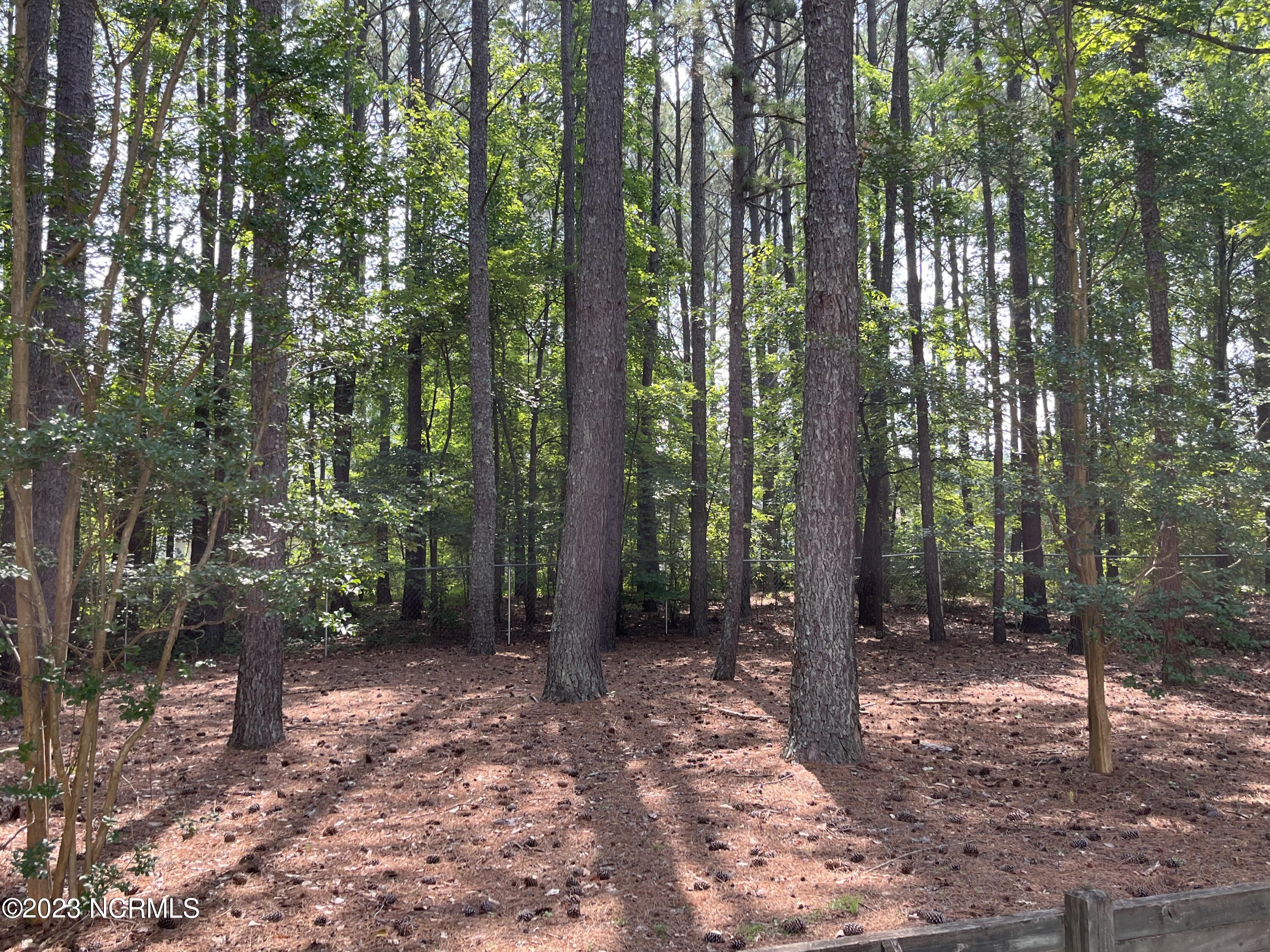 7344 Cornwallis Road Garner, NC 27529 - Photo 32 of 36 Backyard