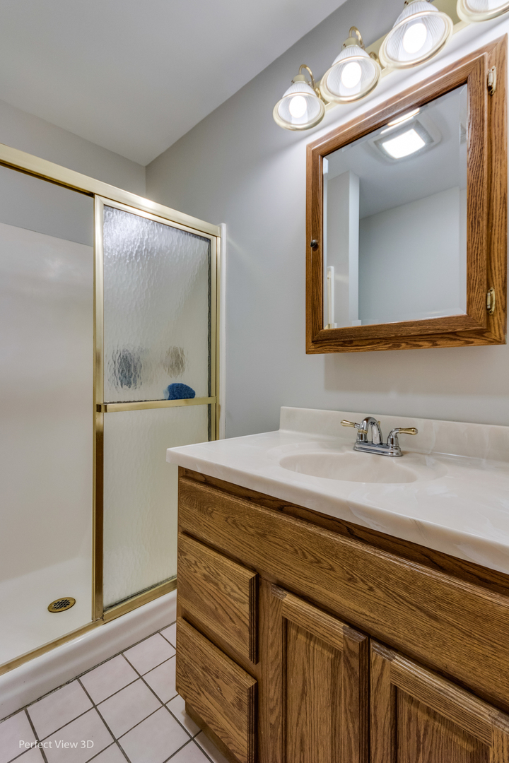 25255 South Tehle Road Elwood, IL 60421 - Photo 24 of 31 a bathroom with a sink a vanity and a mirror