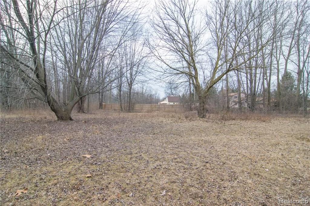 0 Tyler Romulus, MI 48174 - Photo 22 of 26