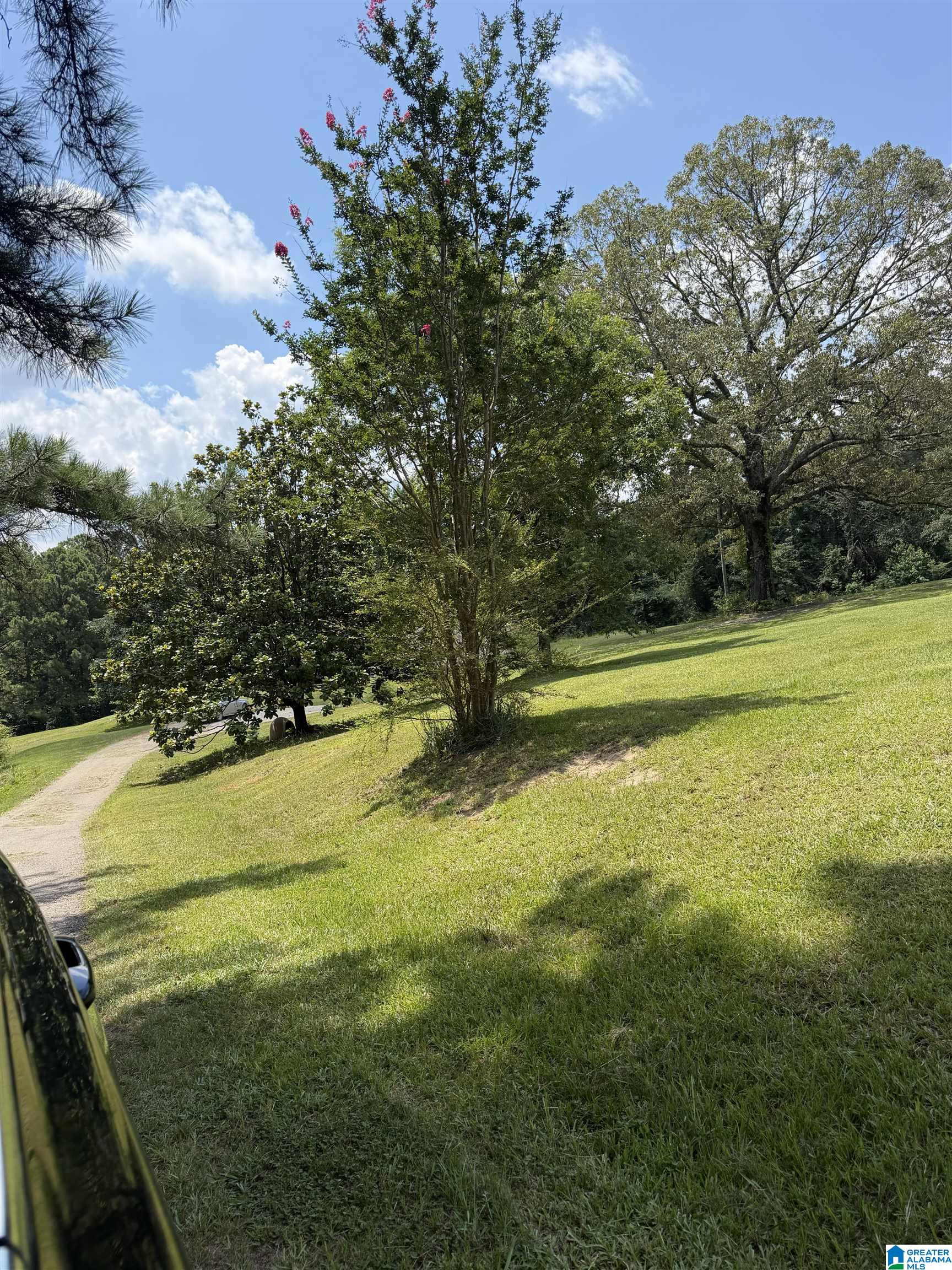 12055 George Newell Road Vance, AL 35490 - Photo 3 of 5
