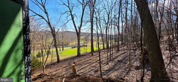 a view of park with large trees