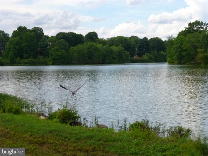 9308 Raintree Road Burke, VA 22015 - Photo 9 of 29 Lake Braddock