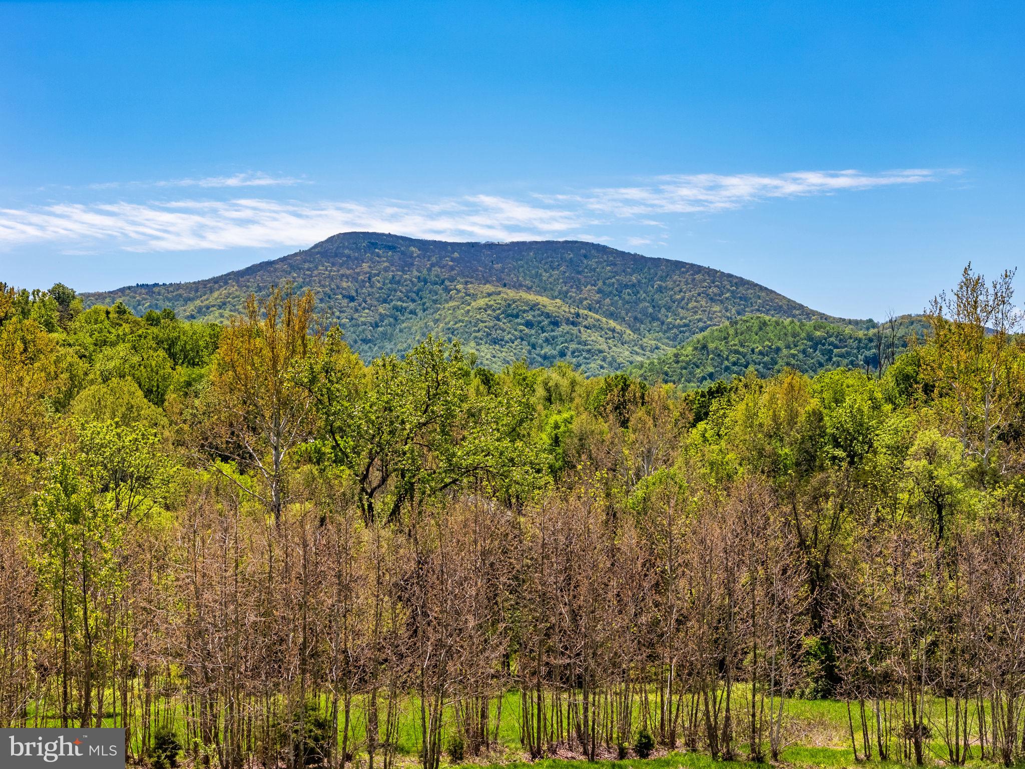 6315 Ida Road Stanley, VA 22851 - Photo 69 of 83 Views for Days