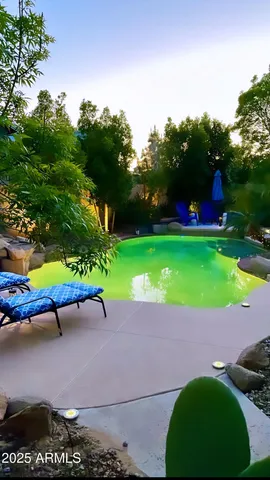 a view of a park with large trees