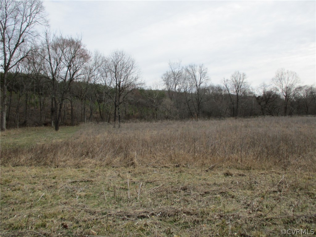 0 Sclaters Ford Road Palmyra, VA 22963 - Photo 11 of 23 Gallery Image 11