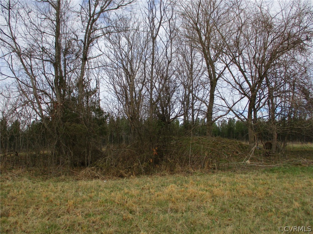 0 Sclaters Ford Road Palmyra, VA 22963 - Photo 17 of 23 Gallery Image 17