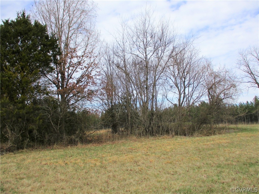 0 Sclaters Ford Road Palmyra, VA 22963 - Photo 18 of 23 Gallery Image 18