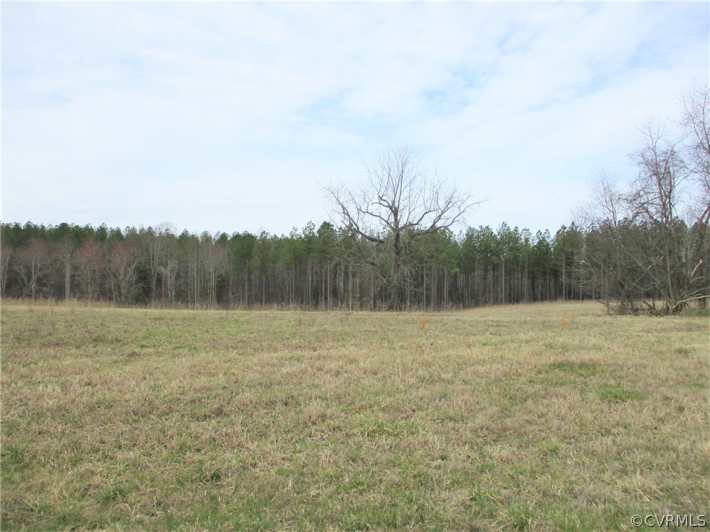 0 Sclaters Ford Road Palmyra, VA 22963 - Photo 3 of 23 Gallery Image 3