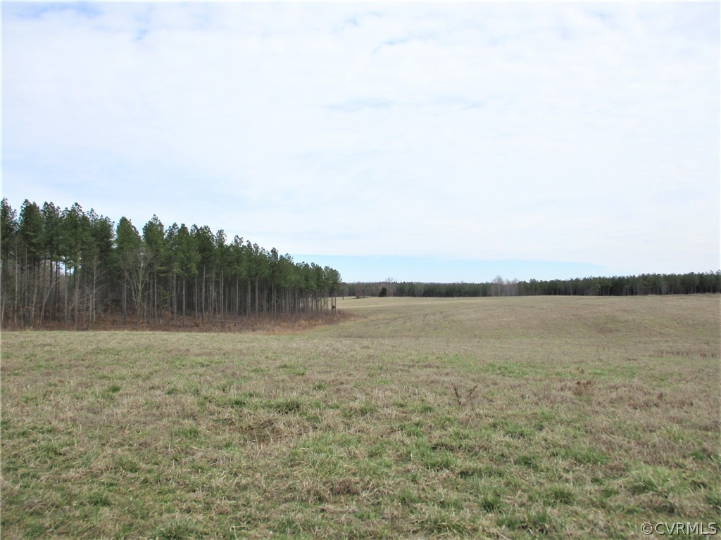 0 Sclaters Ford Road Palmyra, VA 22963 - Photo 4 of 23 Gallery Image 4