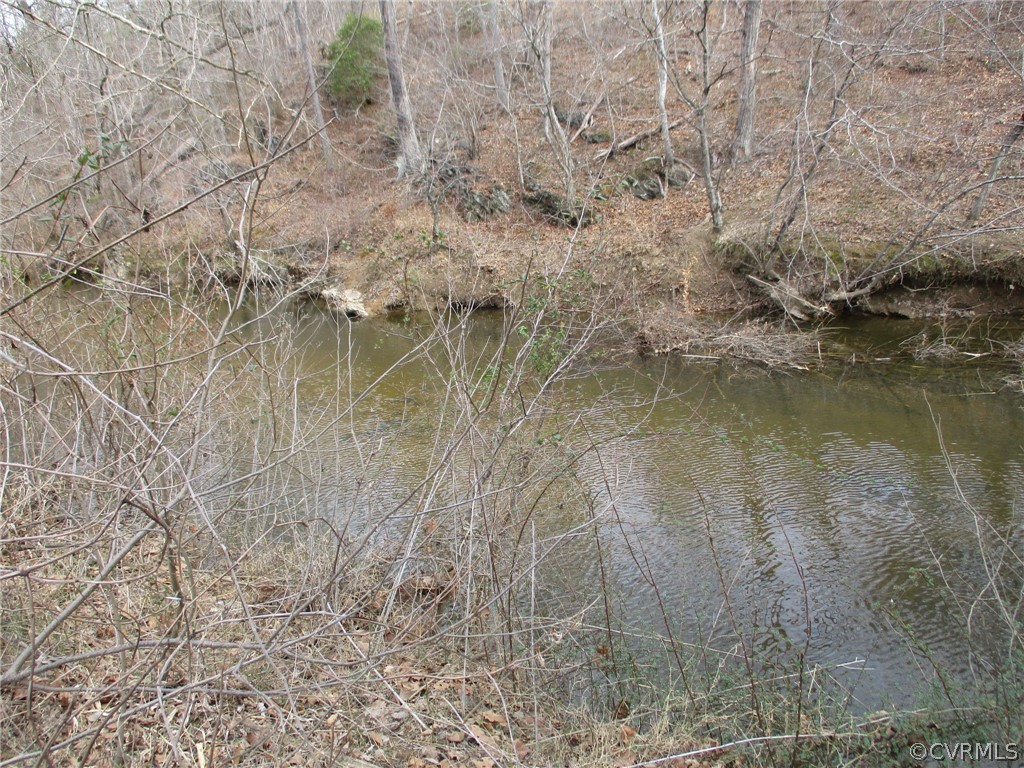 0 Sclaters Ford Road Palmyra, VA 22963 - Photo 6 of 23 Gallery Image 6