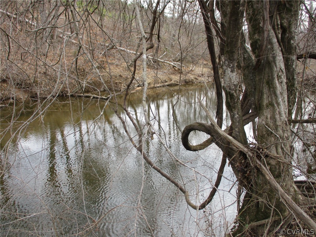0 Sclaters Ford Road Palmyra, VA 22963 - Photo 7 of 23 Gallery Image 7