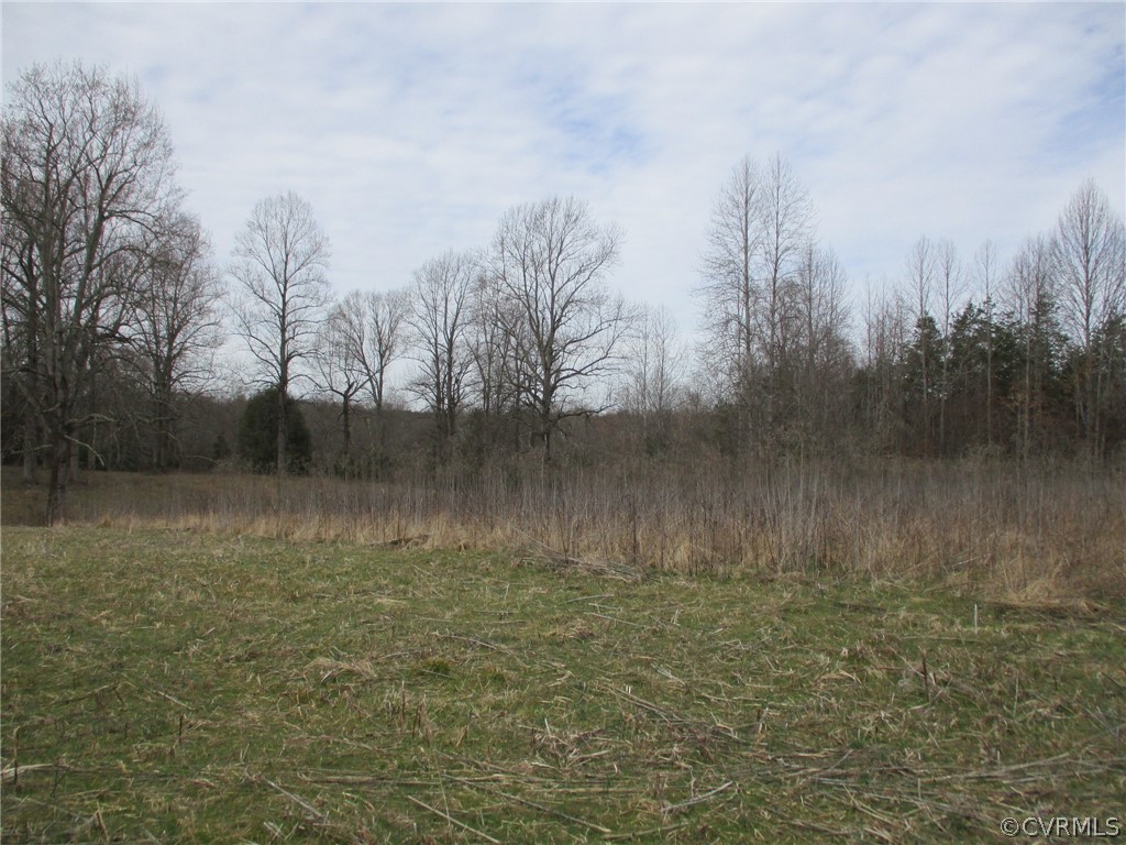 0 Sclaters Ford Road Palmyra, VA 22963 - Photo 9 of 23 Gallery Image 9