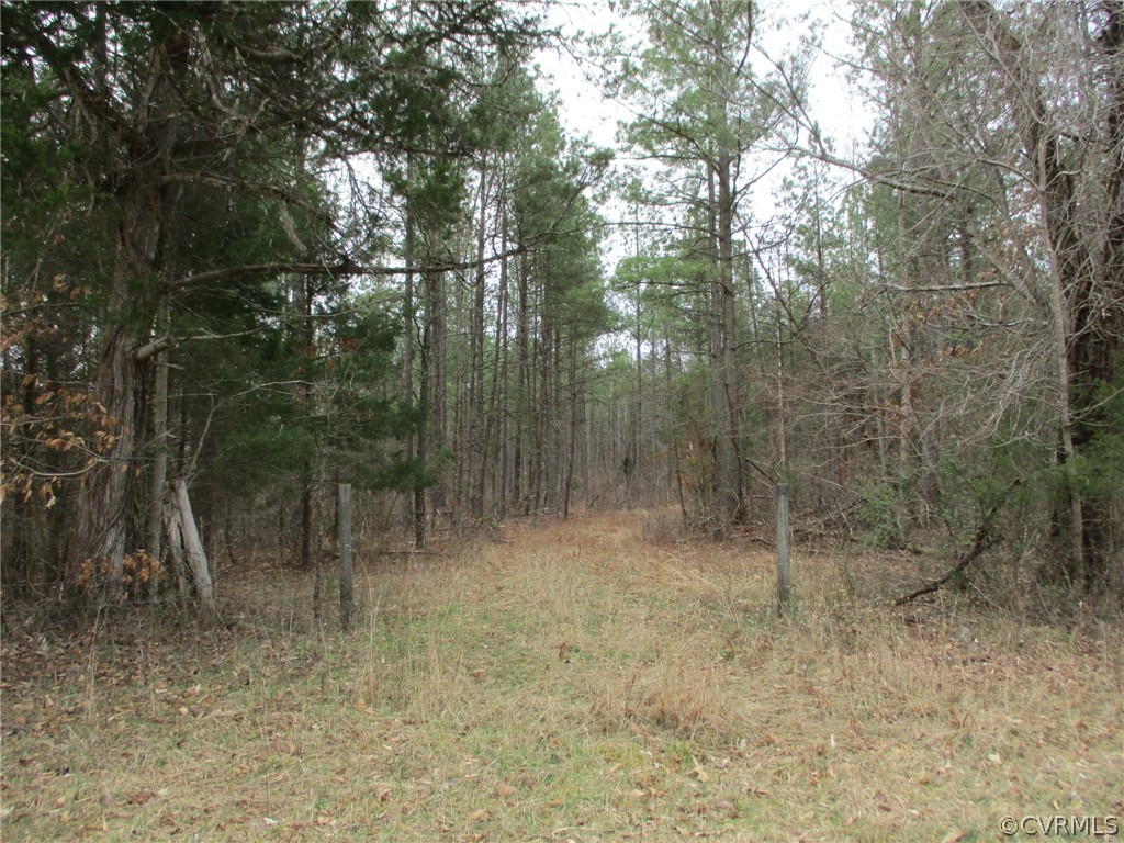 0 Sclaters Ford Road Palmyra, VA 22963 - Photo 10 of 23 Gallery Image 10