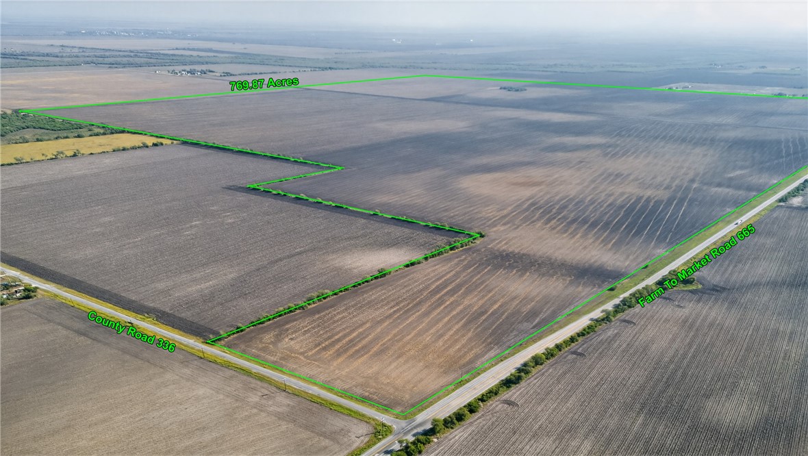 a view of a back yard