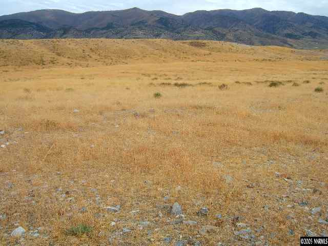 Lot 255 Pyramid Lake Road, Unit PYRAMID LAKE RD /HUMBOLDT RIVER RANCH Lovelock, NV 89419 - Photo 1 of 4 Photo 1