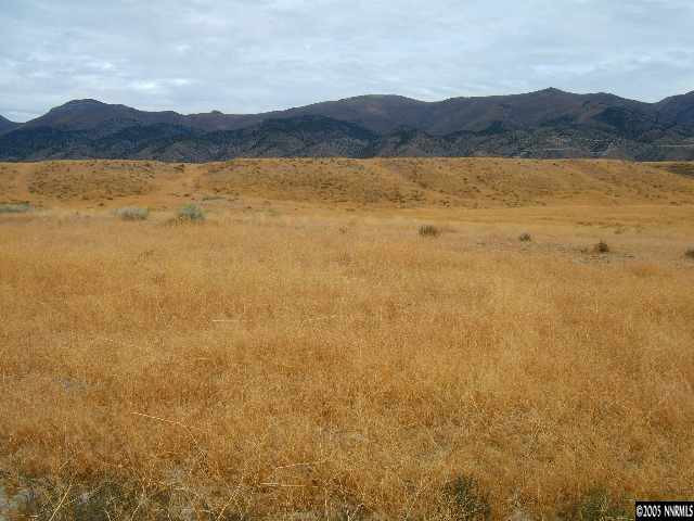 Lot 255 Pyramid Lake Road, Unit PYRAMID LAKE RD /HUMBOLDT RIVER RANCH Lovelock, NV 89419 - Photo 2 of 4 Photo 2