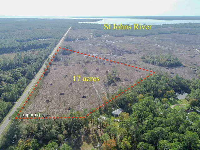 a view of a dry yard