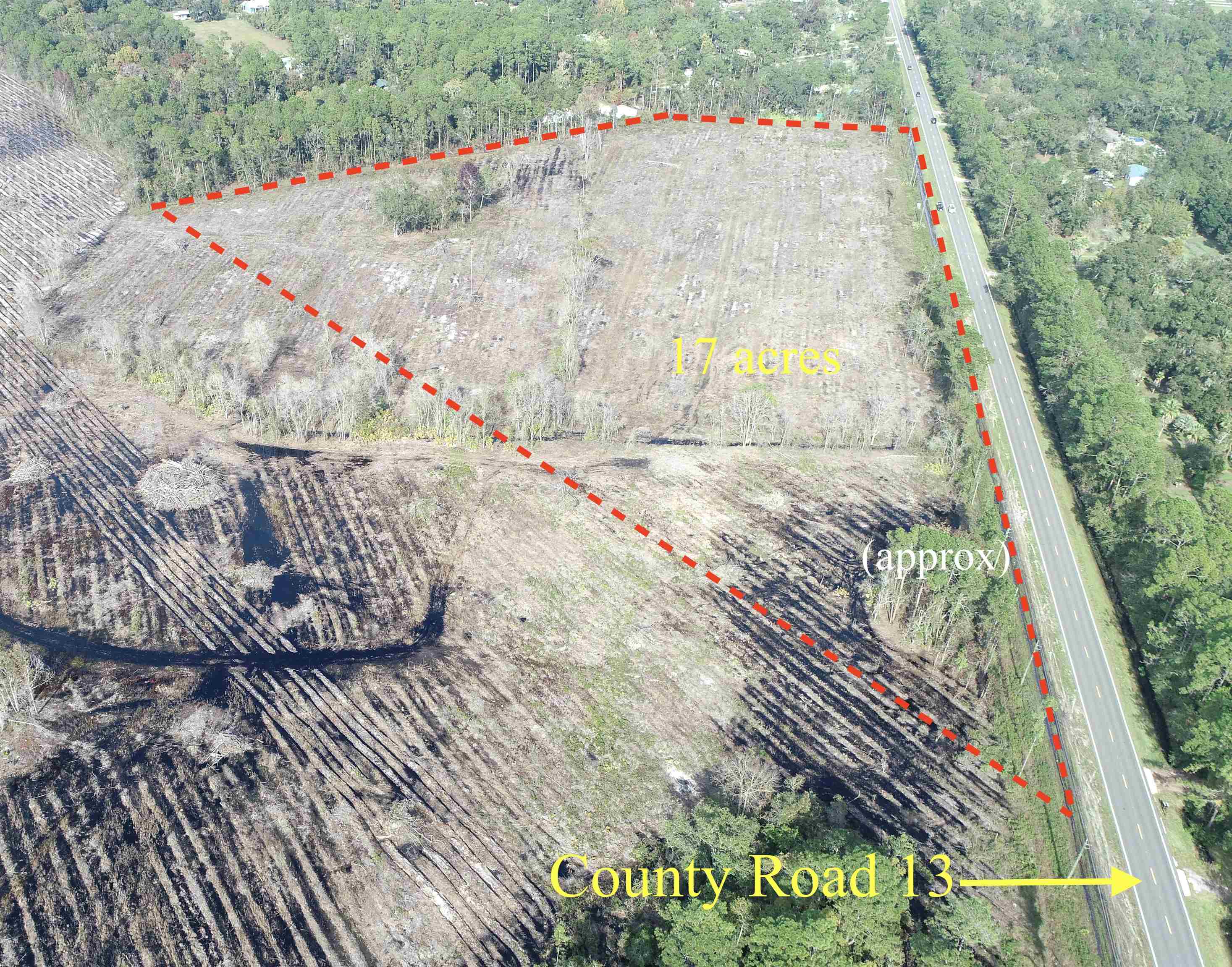 0 County Road 13 South St. Augustine, FL 32092 - Photo 9 of 12 a picture of a book in the garden