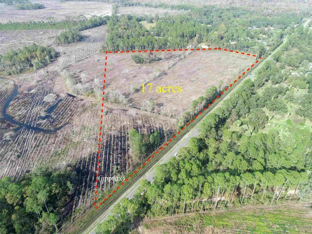 a view of a wooden bridge with large trees
