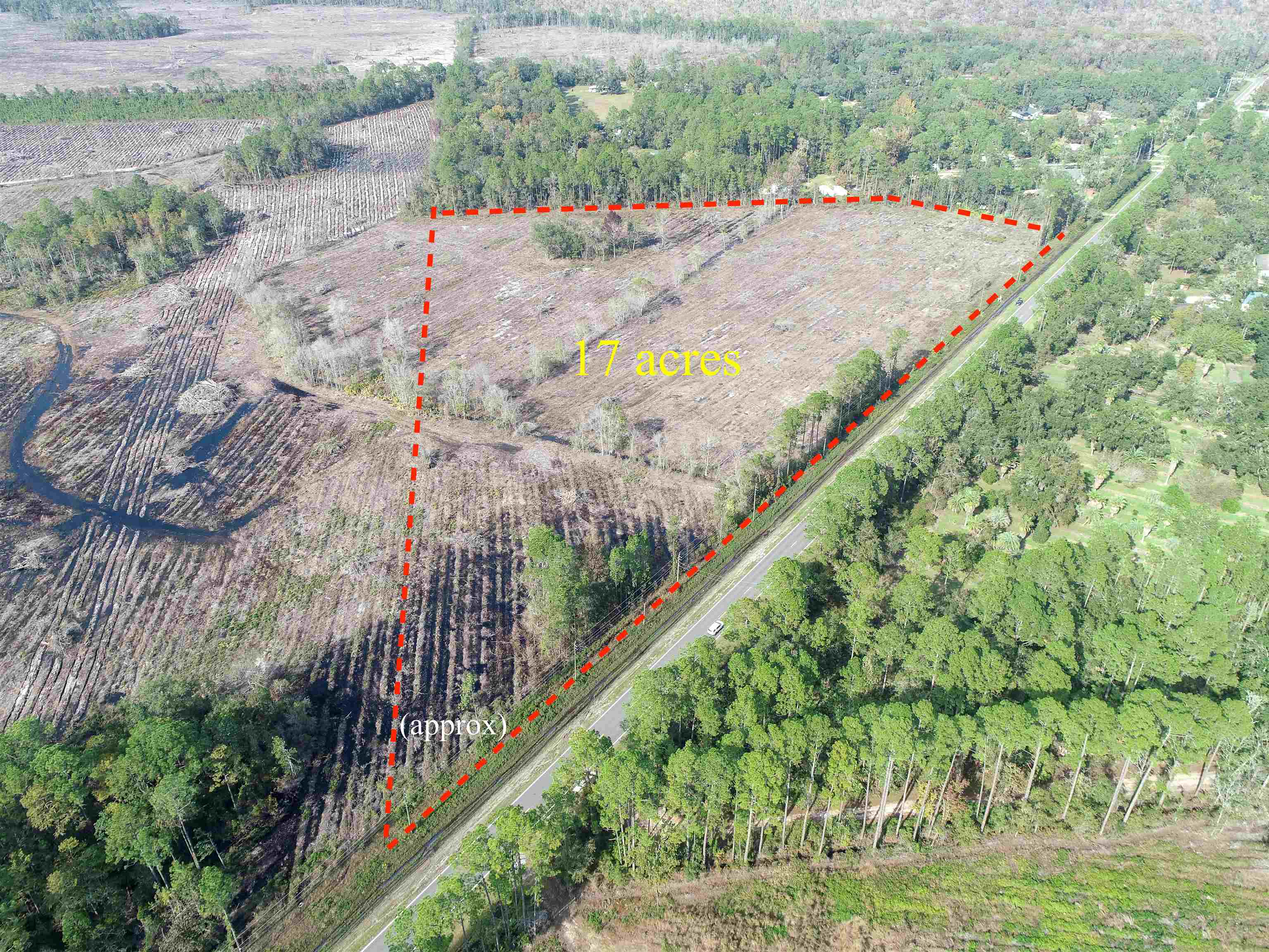 0 County Road 13 South St. Augustine, FL 32092 - Photo 10 of 12 a view of a wooden bridge with large trees