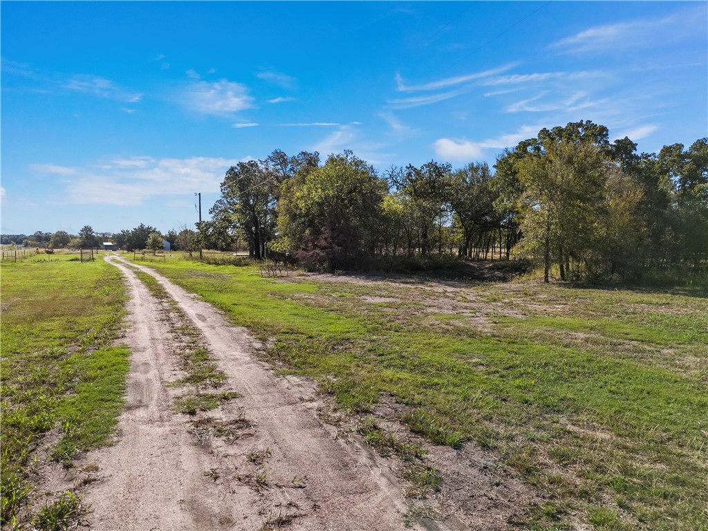 472 Wiggins Road West, TX 76691 - Photo 8 of 15