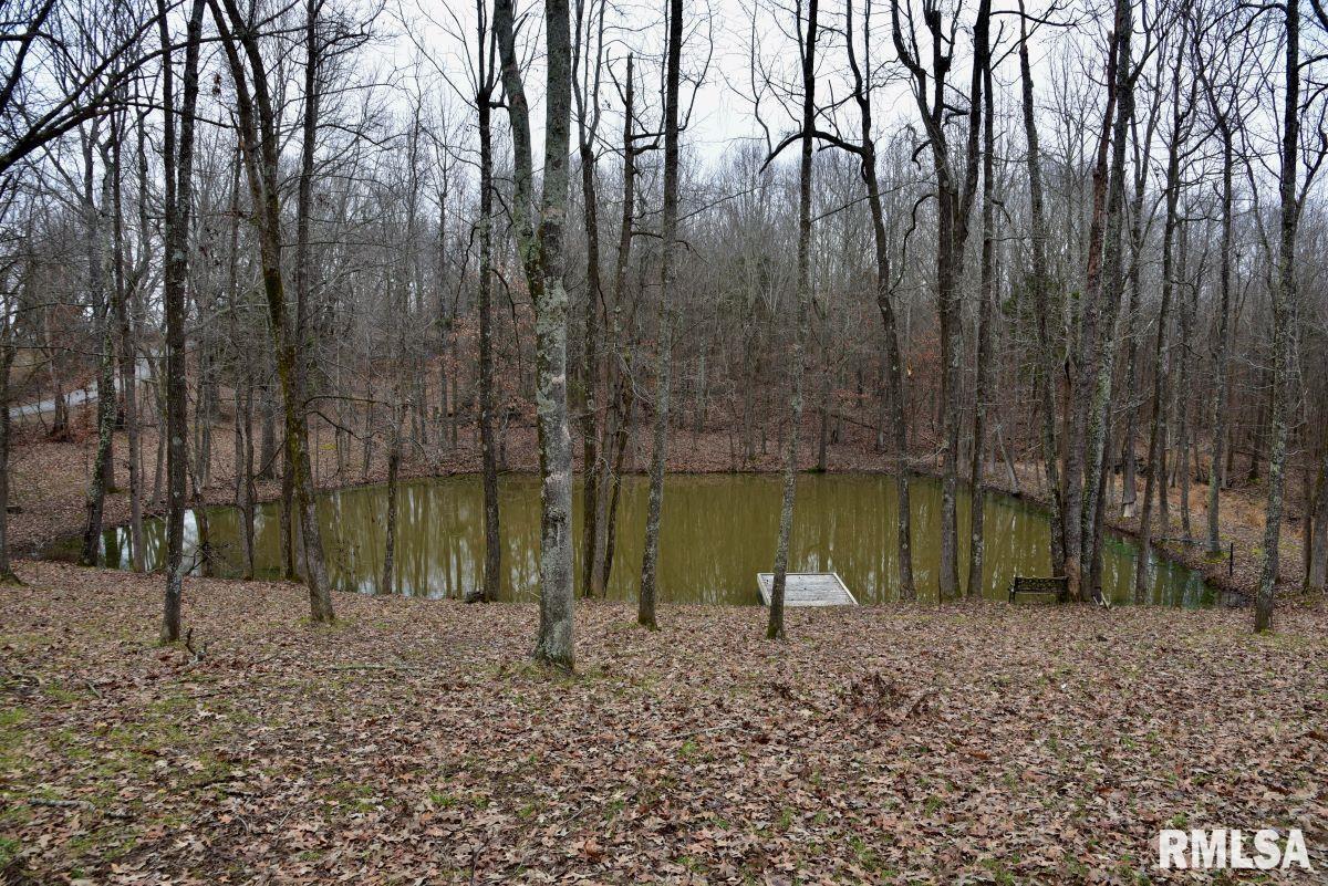 28 East Hamletsburg Road Brookport, IL 62910 - Photo 36 of 66 Gallery Image 36