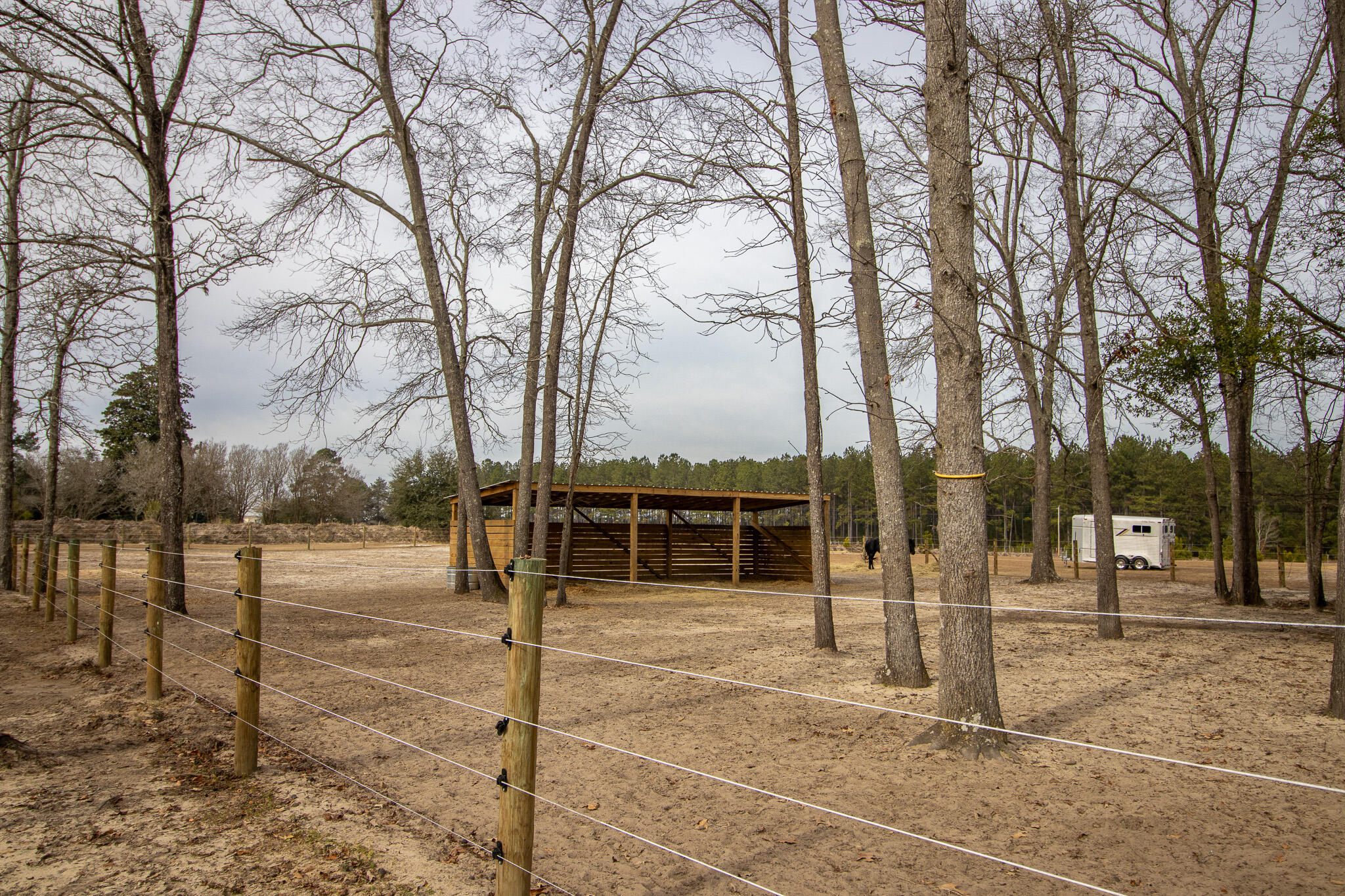 142 Hopewell Road North, SC 29112 - Photo 30 of 112